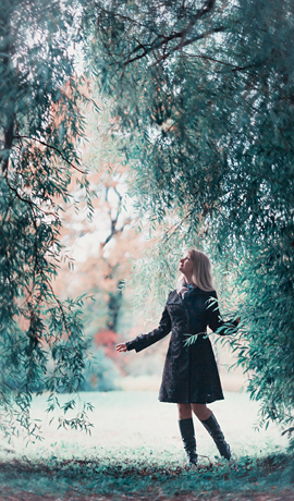 fairyland